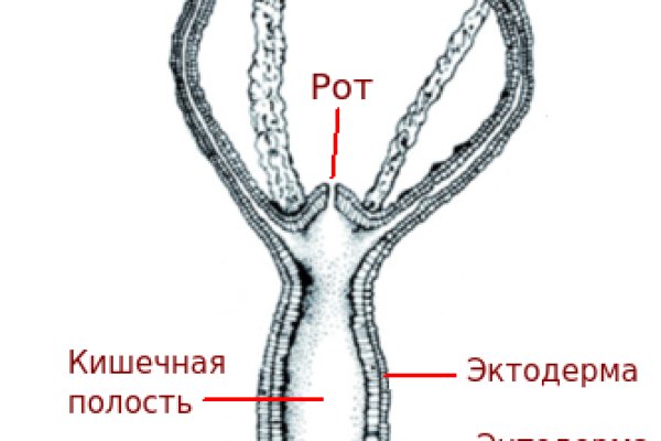 Kraken актуальные ссылки официальный сайт