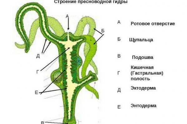 Кракен маркетплейс ссылка