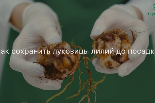 Вместо гидры