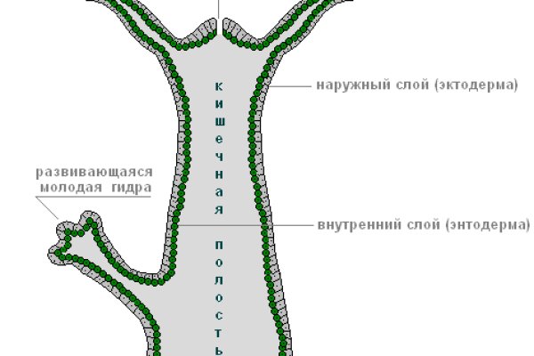 Кракен современный даркнет маркетплейс