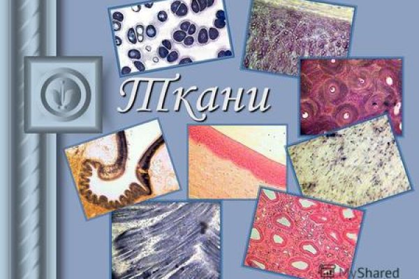 Kraken официальный сайт вход